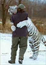 tiger-hugging-man-791658.jpg