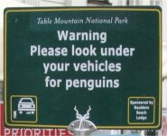 pinviner.jpg