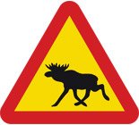 elk.jpg