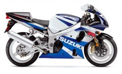 2002_gsx_r1000_blue_600_116.jpg