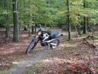 KTM 690 skogsmulle 008.jpg