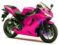 kawasaki_ninja_zx6rr_pink_2005.jpg