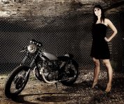 cafe-racer-babe-66.jpg