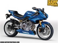 0912_sbkp_01_z+2010_yamaha_trx900+.jpg