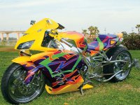 CBR1000RR Custom paint.jpg