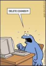 data-it-delete-cookies.jpg