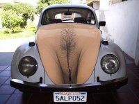 beetle-bonnet-rude.jpg