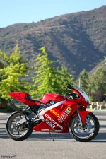 cagiva mito decal.jpg