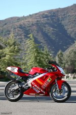 cagiva mito decal kopiera.jpg