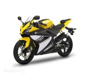 2008-yamaha-yzf-r125-17_460x0w.jpg