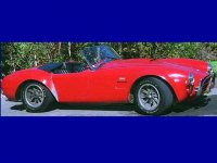 ac-cobra.jpg