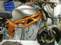 SV 650 365.jpg