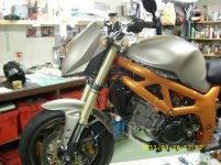 SV 650 386.jpg