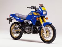 TDR-250-blue.jpg