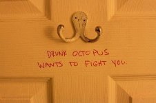 drunk octopus.jpg