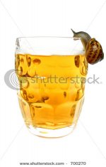 stock-photo-snail-on-glass-of-beer-700270.jpg