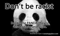 panda.jpg