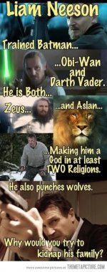 funny-Liam-Neeson-movies-badass.jpg