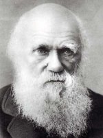 darwin_511.jpg