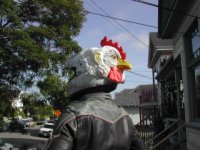 chickenhelmet.jpg