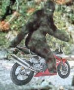 bigfoot (kopia).jpg