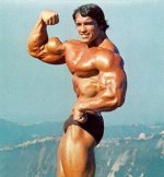 arnold1.jpg