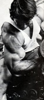 arnold2.jpg