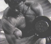 arnold5.jpg