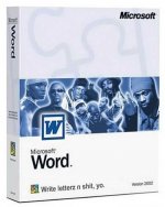 Microsoft-Word-YO.jpg