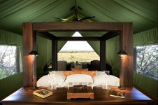 kichwa_bateleur-tent-2.jpg