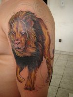 lion_tattoo_72.jpg