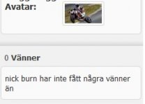 nick burn vänner.jpg