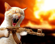 180px-AngryCat.gif