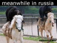 meanwhile-in-russia-bears-on-horses.jpg