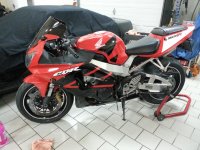 Cbr929röd1.jpg