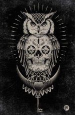 Owl-and-Skull-illustration.jpg