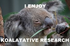 PHD-KOALA.-635x421.jpg