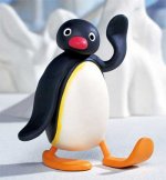 pingu_506.jpg