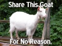 Share-this-goat-1031.jpg