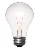 lightbulb_100213167.jpg