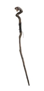 14433-wizard-s-snake-staff-large.jpg