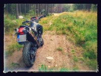 XT660X in the woods.jpg