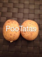 pootatas.jpg