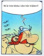 obelix.jpg