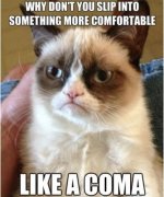 grumpy-cat-9a.jpg