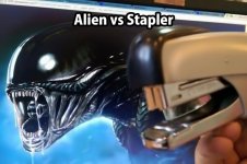 stapler.jpg