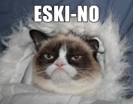 grumpy_cat_meme_funny_eski_no_images.jpg