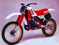 YZ 250.jpg