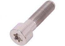 torx-socket-head-cap-screw.jpg_350x350.jpg