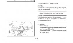 Yamaha_TDM850_Coolant_1.jpg